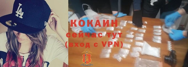 крисы Дмитриев