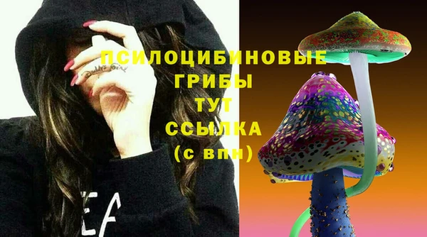 первитин Арсеньев