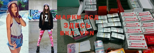 стаф Аркадак