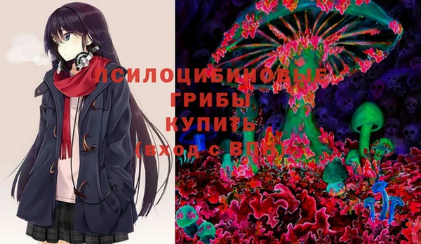 стаф Аркадак