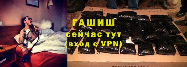 стаф Аркадак